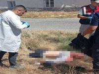 Felahiye'de, otomobilin çarptığı 2 yaya öldü