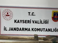 Akkışla'da kaçak kazıya 2 gözaltı
