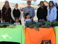 KOCASİNAN’IN TÜRKİYE’YE ÖRNEK OLAN TARIM PROJESİ MEYVELERİNİ VERMEYE BAŞLADI