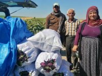 Çiftçi Fatma Karaaslan’dan Yemliha patlıcanı alan Başkan Büyükkılıç’a Teşekkür