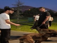 Büyükşehir Belediyesi’nin köpek eğitim parkuruna yoğun ilgi