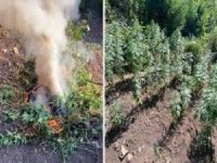 DEVELİ'DE UYUŞTURUCU OPERASYONU