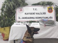 Kayseri’de uyuşturucuya 1 gözaltı