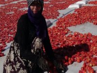 Erciyes'in eteklerinde kurutulan domatesler 9 ülkeye ihraç ediliyor