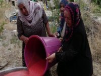 Yeşilhisar ilçesinde kadınlar kışlık salça yapımına başladı