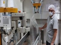 PANPA’DAN ÇİFTÇİYE GÜVENCE: ÇEKİRDEK ALIMLARI DEVAM EDİYOR