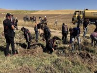 Büyükşehir Belediyesi, Sarımsaklı’da bin 500 fidanı toprakla buluşturdu