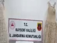 Kayseri'de gelinliğe işlenmiş 25 kilogram uyuşturucu ele geçirildi