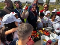 KOCASİNAN BELEDİYESİ’NDEN ÖĞRENCİLERE “ATA TOHUMU” EĞİTİMİ