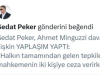 Sedat Peker, Kayserinews’te Hakkındaki Haberi Beğendi: