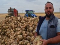 Şeker pancarında rekolte ve fiyat yüz güldürdü