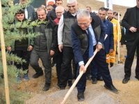 Bayramhacı Mahallesine 35 bin fidan dikildi