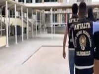 Nitelikli dolandırıcılık operasyonları; 25 tutuklama