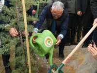 Ağaç ve Fidana 100 Milyon TL’nin Üzerinde Yatırım