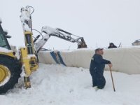 Kangal ilçesinde üzerinde biriken kar kütlesi nedeniyle çadırın çökmesi sonucu 8 koyun oldu