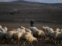 Besicilerden Başkan Büyükkılıç’a Teşekkür