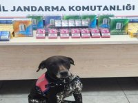 Kayseri'de 250 paket kaçak sigara ele geçirildi