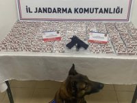 Kayseri’de uyuşturucu operasyonu: 5 gözaltı