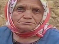 Mantar toplamak için evden ayrılan kadın, ormanda ölü bulundu