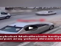 KAYSERİ'DE KEDİYE ÇARPTI CEZAYI YEDİ