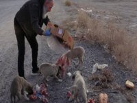 Esnaftan topladığı yiyeceklerle sokak hayvanlarını besliyor