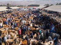 Şap nedeniyle 6 aydır kapalı olan hayvan pazarı yeniden açılıyor