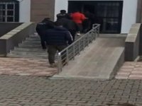 Kangal köpeği hırsızlığı şüphelileri Kayseri'de yakalandı