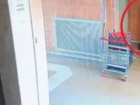 Bektaş’ı bıçakla öldürmeye dün karar verdim