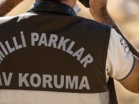 Yaban keçisi vuran avcıya 953 bin TL ceza