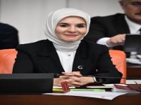 Aile ve Sosyal Hizmetler Bakanlığı'na 3 bin sözleşmeli personel alımı yapılacak