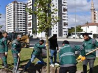 KOCASİNAN, 11 YILDA 1 MİLYON 67 BİN AĞAÇ DİKTİ