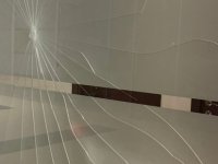 Ağabeyi ceza aldı, karar sonrası mahkeme salonunun camına yumruk attı