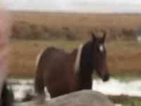 Sanatçı Onur Akın'a, klip çekimi sırasında at çarptı