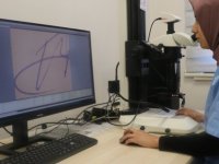 'Masumane şekilde kargo teslimi için atılan imza, aslında boş bir senede atılmış olabilir'