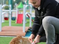 10 BİN 280 CAN KURTARILDI