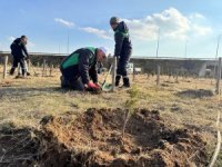 Kayseri’de 3 bin 200 fidan dikildi