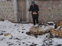 Hayvanlara Aç ve susuz kalmaması için yaz-kış demeden yıllardır su ve yem taşıyor