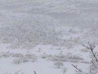 KAYSERİ KAR YAĞIŞI İLE UYANDI