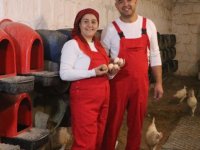 Ebiç Köyüne tavuk çiftlik kurdu