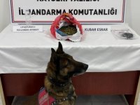 DEVELİ SİNDELHÖYÜK MAHALLESİNDE UYUŞTURUCU OPERASYONU