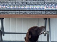 426 Paket bandrolsüz sigara ele geçirildi