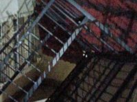 Yahyalı’da fırtına kamelyaları yerinden söktü