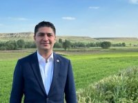 Sarız ilçesine Bal Ormanı kurulacak