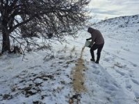 Bünyan'da sokak hayvanlarına yem desteği