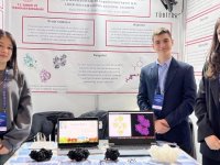 Sorgum bitkisinden kansere yönelik ilaç tasarımı