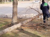 Kayseri’de şiddetli rüzgara karşı Büyükşehir ekipleri seferber oldu