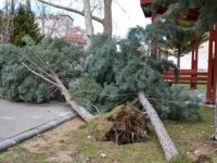 Yahyalı’da yoğun yağış sonrası Gözbaşı Havuzları’nda kontrollü tahliye