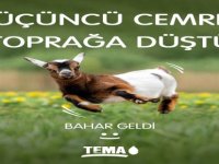 Baharı müjdeleyen son cemre, toprağa düştü.