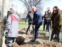 MELİKGAZİ’DE İLKBAHAR AĞAÇ DİKİMİYLE BAŞLADI