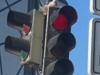 Kayseri’de güvercin, trafik lambasına yuva yaptı